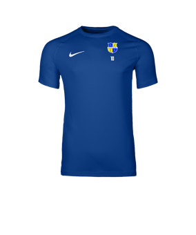 Nike Park VIII Maillot Bleu C463