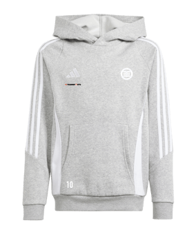 adidas Tiro 24 Hoody Kids Grau Weiss