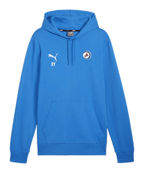 PUMA teamGOAL Casuals Hoody Blau F02