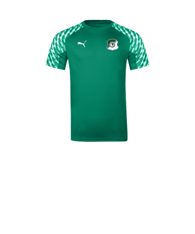 PUMA teamLIGA26 Trikot Kids Grün F05