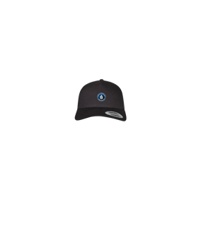 Merch 5 Panel Retro Trucker Cap Schwarz | logo4c