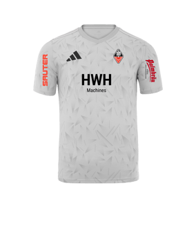 adidas Team Icon 25 Trikot Weiß
