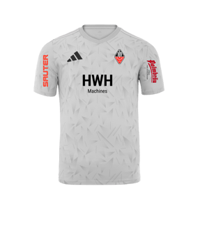 adidas Team Icon 25 Trikot Weiß