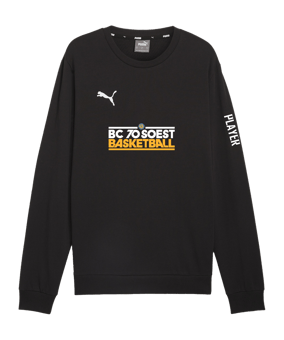 PUMA teamGOAL Casuals Sweatshirt Schwarz F03