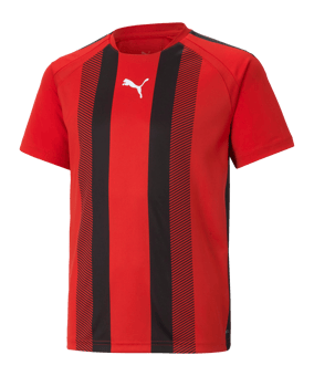 PUMA teamLIGA Striped Trikot Kids Rot Schwarz F01 - rot