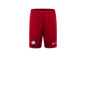 Nike Park III Court Enfants Rouge C657 