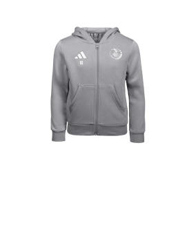 adidas Entrada26 Veste à capuche Enfants Gris