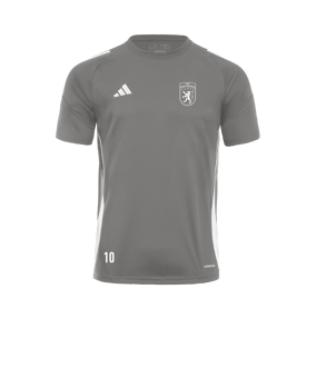 adidas Tiro 24 Trikot Grau Weiss