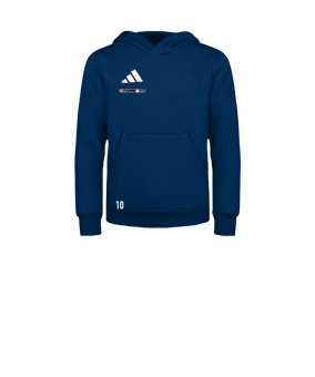 adidas Entrada 26 Hoody Kids Blau