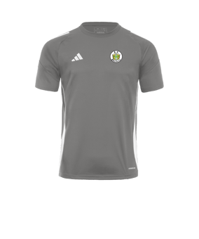 adidas Tiro 24 Trikot Grau Weiss