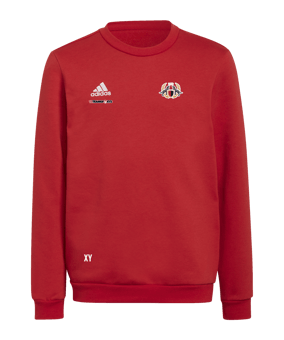 adidas Entrada 22 Sweatshirt Kids Rot