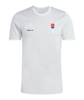 adidas Entrada 26 Trikot Grau