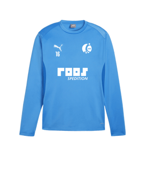 PUMA teamGOAL Training Sweatshirt Blau F02