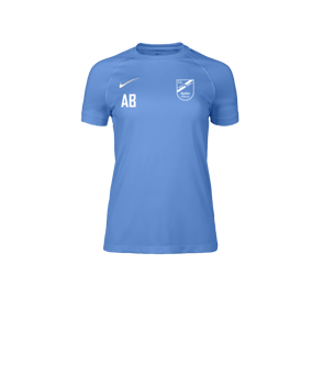 Nike Park VIII Trikot Damen Blau F412