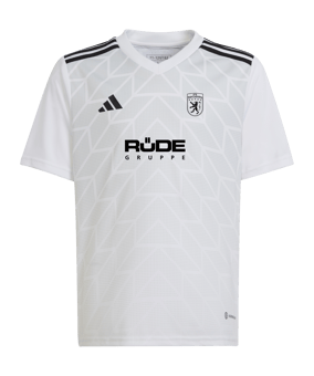 adidas Team Icon 23 Trikot Kids Weiss
