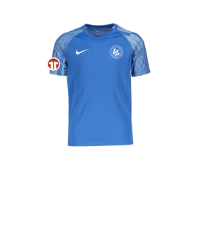 Nike Academy Trikot Kids Blau F463