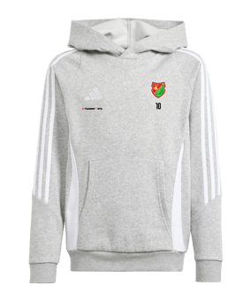 adidas Tiro 24 Hoody Kids Grau Weiss