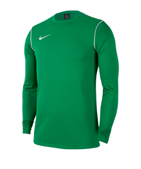 Nike Park 20 Sweatshirt Kids Grün F302 - gruen