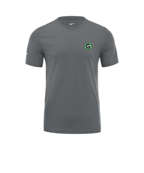 Nike Park 20 T-Shirt Grau Weiss F071