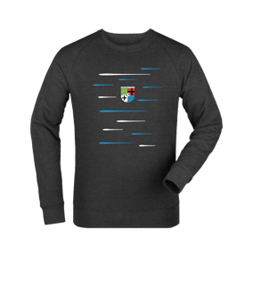 Merch Roller Sweatshirt Dark Heather Grey | #lines