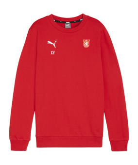 PUMA teamGOAL Casuals Sweatshirt Kids Rpt F01