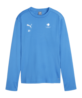 PUMA teamGOAL Training Sweatshirt Damen Blau F01