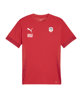 PUMA teamGOAL Matchday Trikot Rot Weiss F01