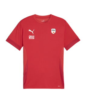 PUMA teamGOAL Matchday Trikot Rot Weiss F01