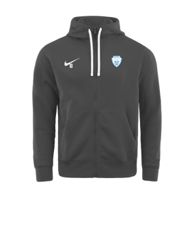 Veste à capuche Nike Park 20 Fleece grise F071 