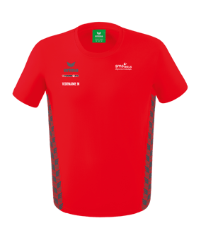 Erima Team Essential T-Shirt Rot Grau