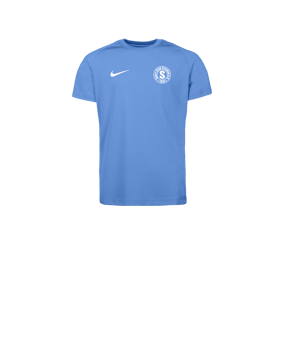 Nike Park VIII Trikot Kids Blau F412