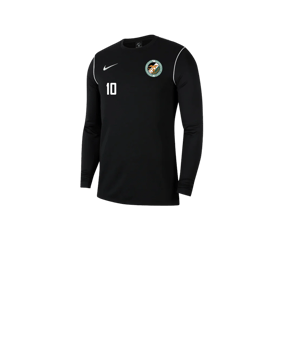 Nike Park 20 Sweatshirt Kids Schwarz Weiss F010