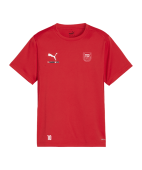 PUMA teamGOAL Trikot Kids Rot F01