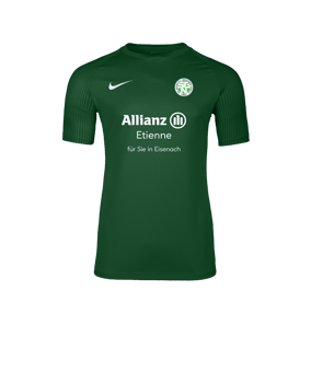 Nike Academy II Trikot Grün F302