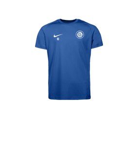 Nike Park VIII Maillot Enfants Bleu C463