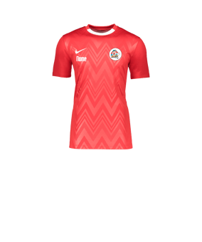Nike Challenge V Trikot Kids Rot Weiss F657