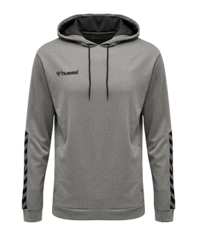 Hummel Authentic Poly Hoody Grau F2006 - grau