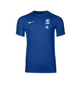 Nike Park VIII Trikot Blau F463