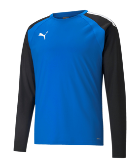 PUMA teamLIGA Trainig Sweatshirt Blau F02 - blau
