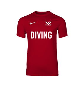 Nike Park VIII Trikot Rot F657