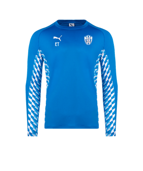 PUMA teamLIGA26 Training Sweatshirt Blau F02