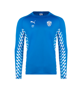 PUMA teamLIGA26 Training Sweatshirt Blau F02