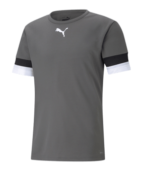 PUMA teamRISE Trikot Grau F13