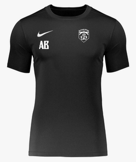 Nike Park VII Trikot kurzarm Kids Schwarz F010