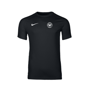 Nike Park VIII Trikot Schwarz F010