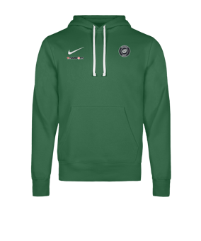 Nike Park 26 Hoody Grün F302