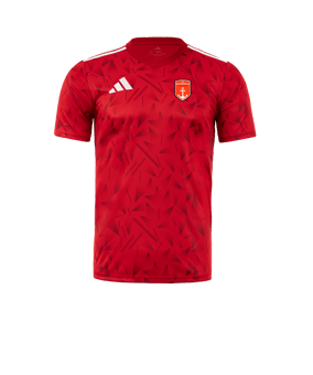 adidas Team Icon 25 Trikot Rot