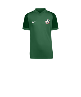 Nike Trophy VI Trikot Kids Grün F302