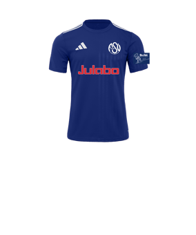 adidas Campeon 25 Trikot Kids Blau