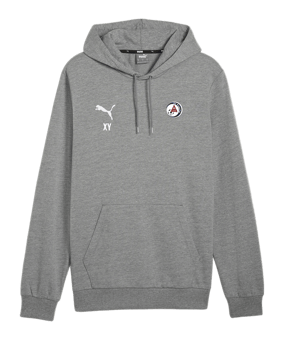 PUMA teamGOAL Casuals Hoody Grau F33
